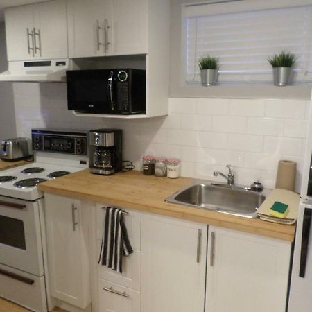 Fantastic And Modern Downtown 1-Bed Basement Apt., Parking Wi-Fi And Netflix Included Ottawa Eksteriør billede