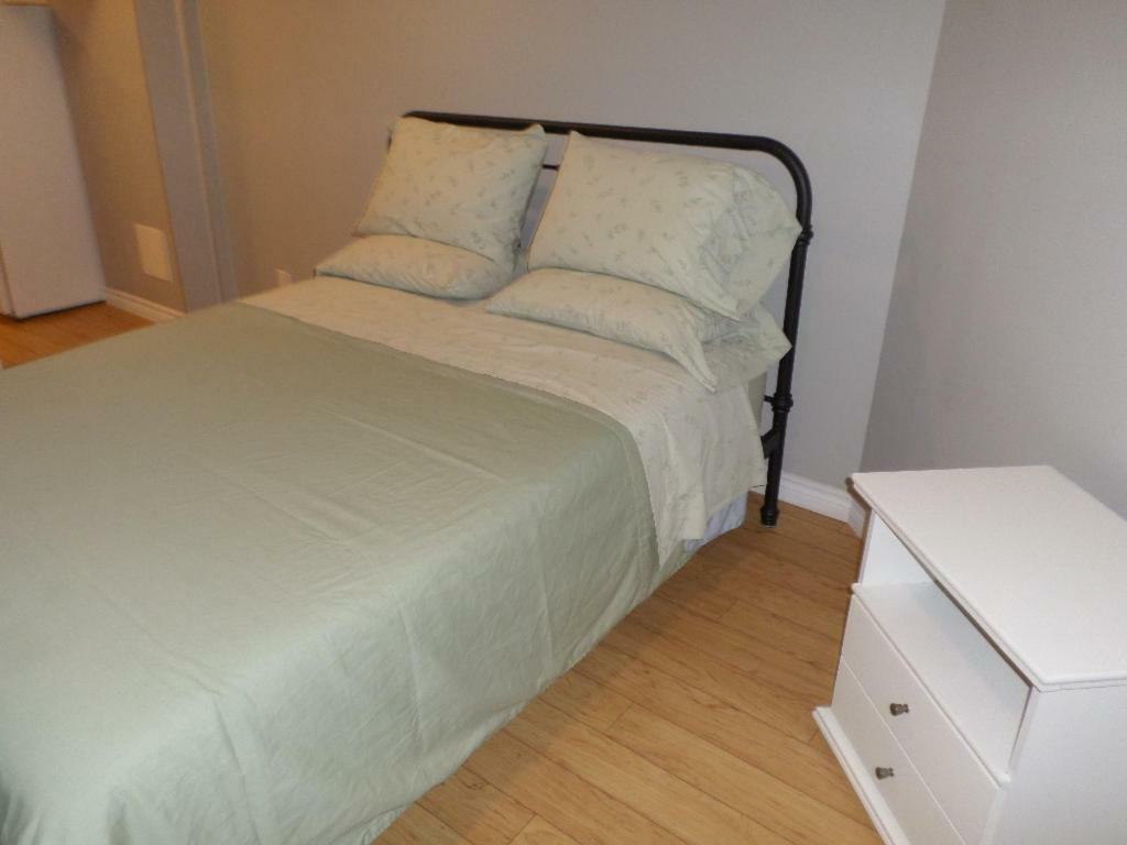 Fantastic And Modern Downtown 1-Bed Basement Apt., Parking Wi-Fi And Netflix Included Ottawa Eksteriør billede