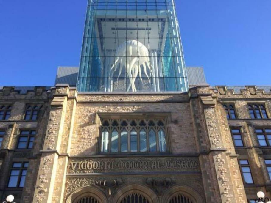 Fantastic And Modern Downtown 1-Bed Basement Apt., Parking Wi-Fi And Netflix Included Ottawa Eksteriør billede