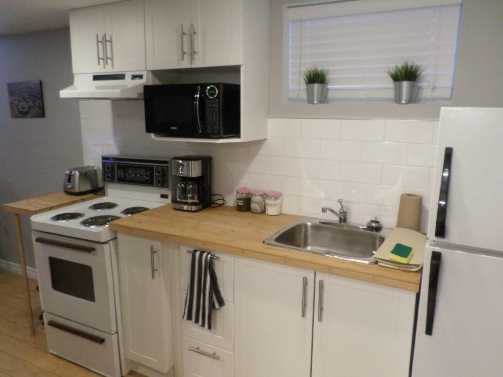 Fantastic And Modern Downtown 1-Bed Basement Apt., Parking Wi-Fi And Netflix Included Ottawa Eksteriør billede